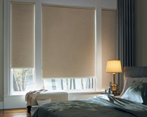 Roller Shades at Strickland's Home