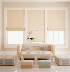 Roller Shades at Strickland's Home