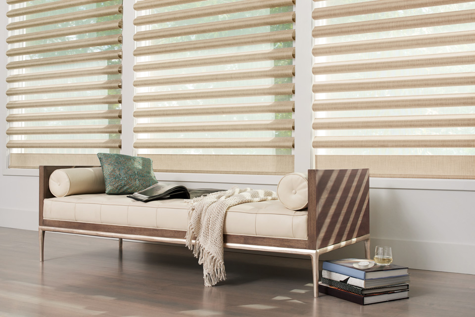 Pirouette Pleated Shades by Hunter Douglas