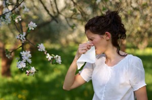 window treatments for allergies