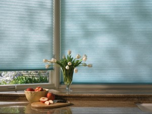 Honeycomb Shades