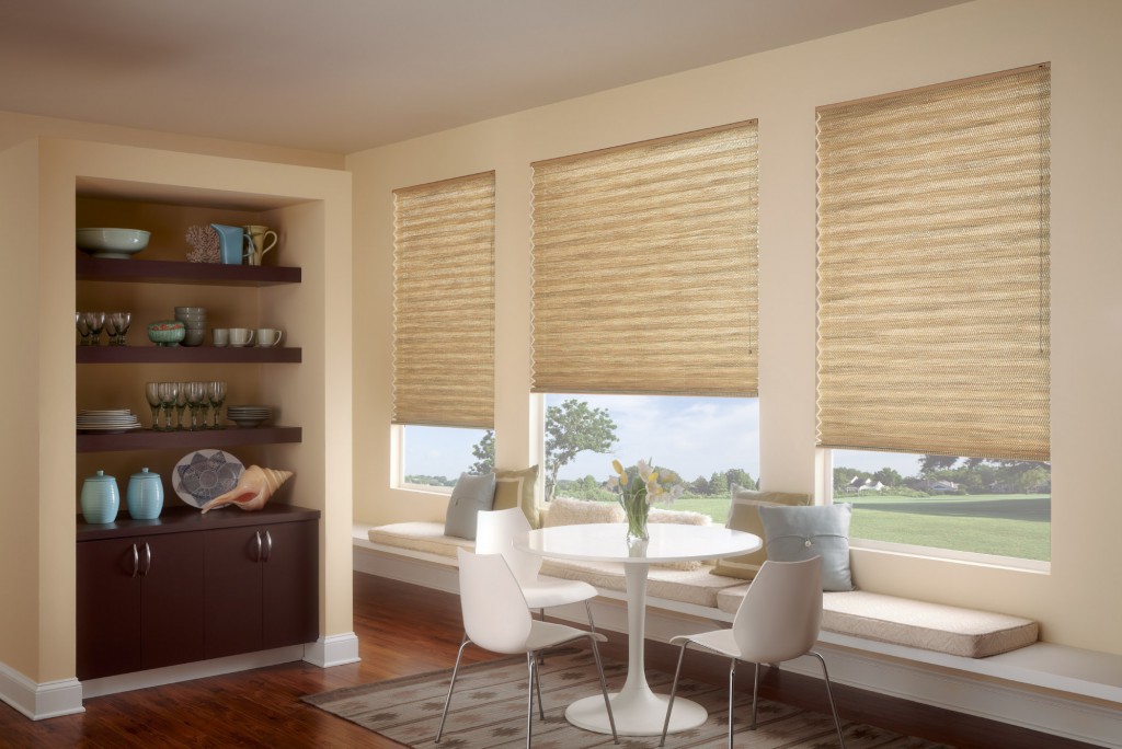 Pleated window shades