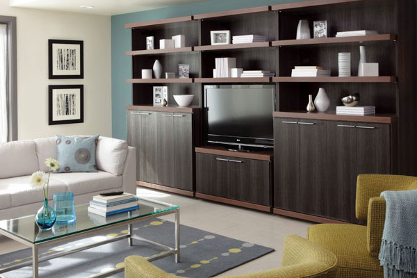 living room storage ideas