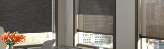 Solar Screen Shades: All of the Benefits of Shades and a Great View