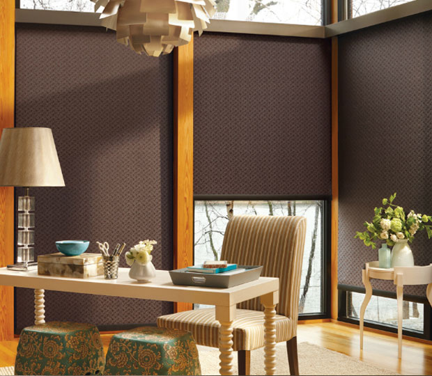 roller shades for your windows