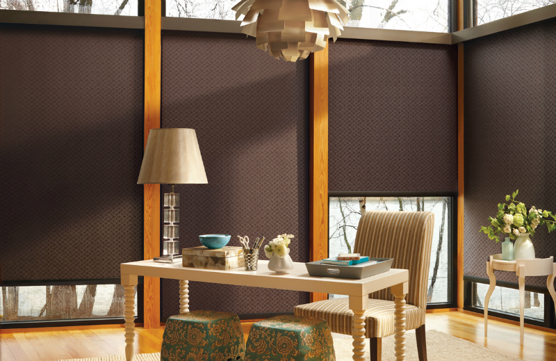 roller shades for your windows