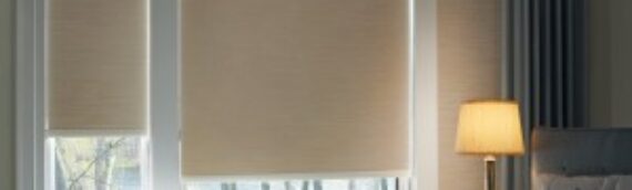 Roller Shade Control Options Explained — Fred Said!