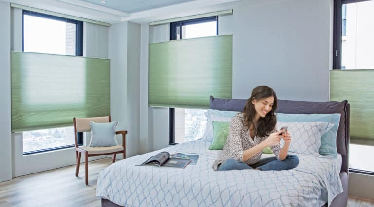 INdigo_Overall_Horiz-mirror-correction-768×505