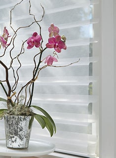 shades-pleated-shades